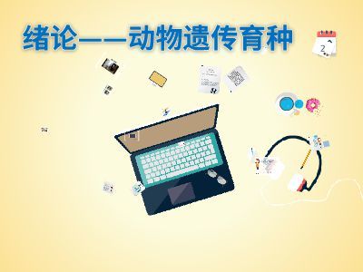 緒論 軟件設(shè)計制作——從概念到成品的藝術(shù)與工程